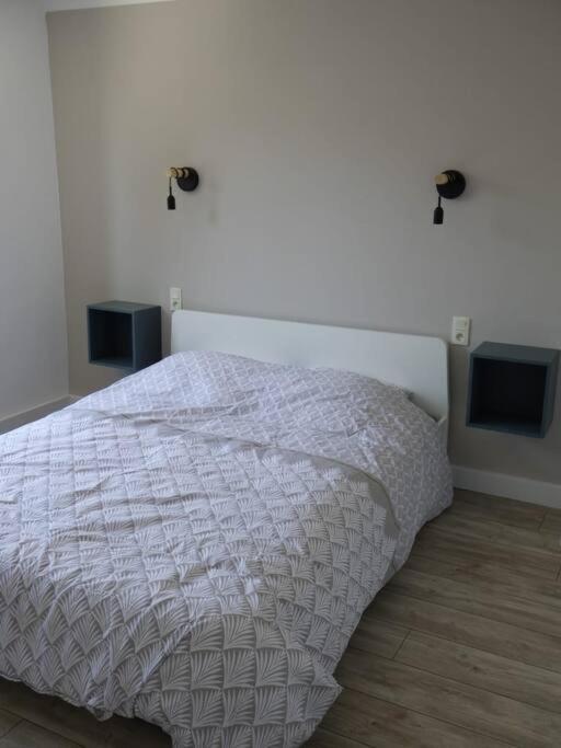 Spacieux appartement au pied de la cité médiévale Carcassonne Esterno foto