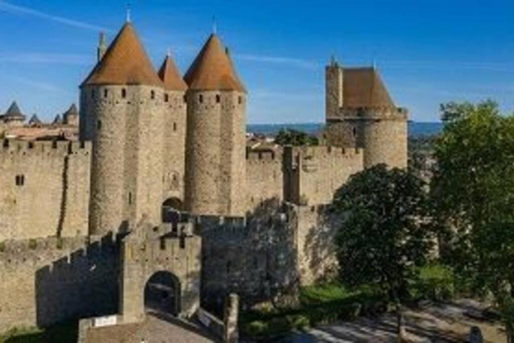 Spacieux appartement au pied de la cité médiévale Carcassonne Esterno foto