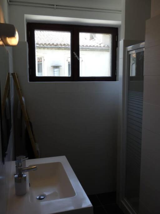 Spacieux appartement au pied de la cité médiévale Carcassonne Esterno foto